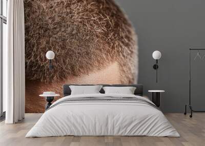 Close-up view of a man's short hair, showcasing texture and style against a dark background. Wall mural