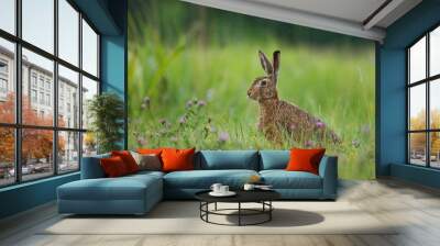 Hare Wall mural