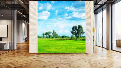 View through an open white wooden window onto green grass fields and blue sky. Wall mural