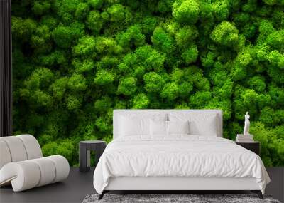 Reindeer moss wall, green wall decoration Cladonia rangiferina interior mock up textured Wall mural