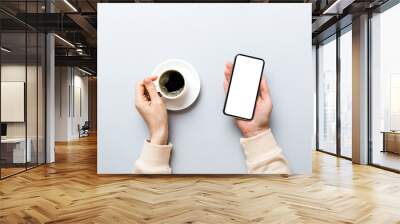 Top view of woman hands holding smart phone with blank copy space screen for your text message or information content. woman hand using phone white screen on top view Wall mural