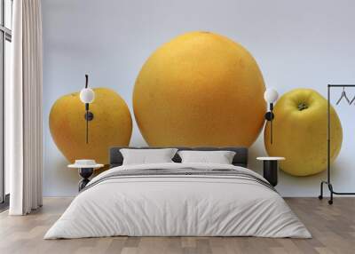 tasty ripe apples and citrus Wall mural