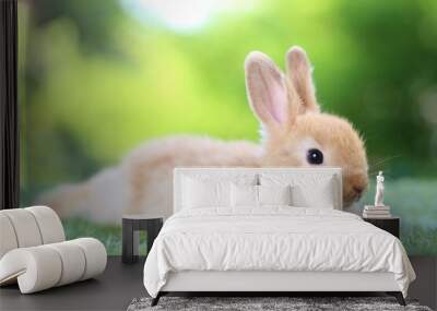 Cute little rabbit on green grass with natural bokeh as background during spring. Young adorable bunny playing in garden. Lovrely pet at park Wall mural