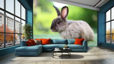 Cute little rabbit on green grass with natural bokeh as background during spring. Young adorable bunny playing in garden. Lovrely pet at park Wall mural