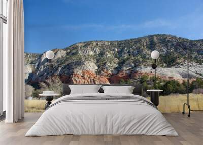 The Spectacular Zion National Park Wall mural