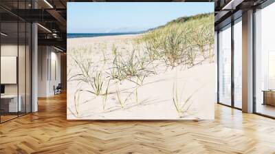 Beach grass on the seashore on a summer day Wall mural