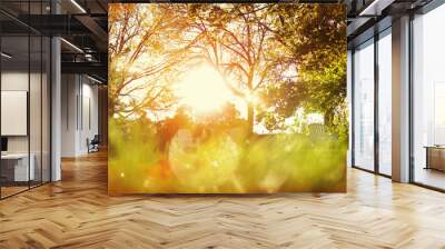 Sunlight shining in a backyard, blurred foreground Wall mural