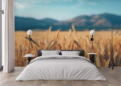 Close up of golden wheat field in the evening, with mountains and blue sky background, blurred texture, real photo, ultra high definition  Wall mural