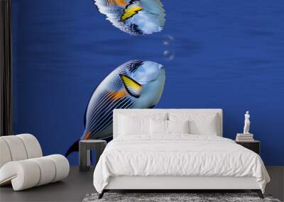 illustration of a tropical fish under surface Wall mural