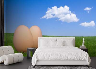 Two free-range egg on green grass against a blue sky Wall mural