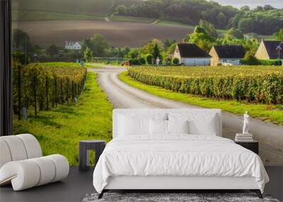 Row vine grape in champagne vineyards at montagne de reims countryside village background, France Wall mural