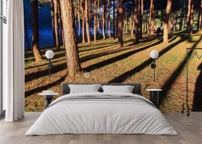 sunrise at pang-ung, pine forest park , mae hong son, north of thailand, edit warm tone Wall mural