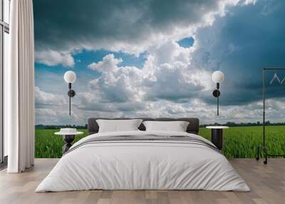 Large harvest of wheat in summer on the field landscape with blue sky and clouds Wide shot 2 Wall mural