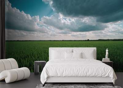 Rural landscape with field and blue sky with clouds spring seasonal natural background Panoramic view 6 Wall mural