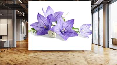 beautiful bluebells on white background Wall mural