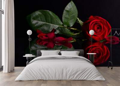 beautiful red rose on black background.Photo with reflection Wall mural