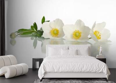 Beautiful white flower isolated on white Wall mural