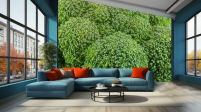 fresh green broccoli Wall mural