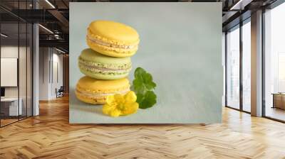 Macarons with nice yellow flower on blue wooden table Wall mural