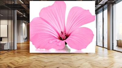 pink flower Wall mural