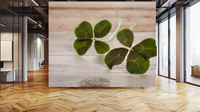 two four-leaves clovers for good luck isolated on wooden backgro Wall mural