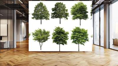 樹木切り抜きセット透過PNG背景白-Cutout Tree Wall mural