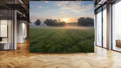 Idyllic meadow with trees and misty fog under dramatic sunrise sky. Czech landscape Wall mural