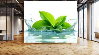 A leafy green plant is floating in a splash of water Wall mural