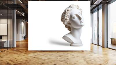 A white statue of a woman's head is sitting on a white background Wall mural