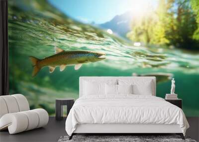 Two fish swimming in a body of water Wall mural