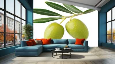 Two green olives hanging from a branch Wall mural