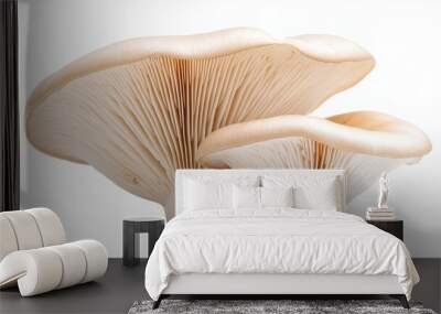 Two large white mushrooms are shown on a white background Wall mural