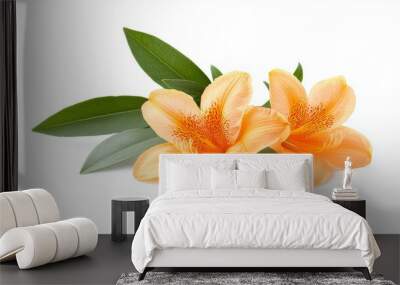 Two orange flowers with green leaves Wall mural