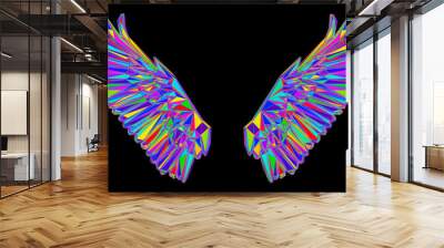 wings of the rainbow Wall mural