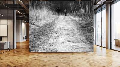 Vertical autumn road with two man background Wall mural