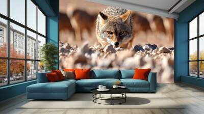 A Wild Coyote Stealthily Approaching Its Prey in the Desert Landscape Wall mural