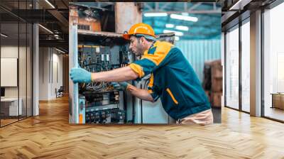 Electrical technician tests wiring, polarity, grounding, voltages and performs electrical maintenance using hand tools that involve clamp meter, screwdriver, and cutter. The foreman's routine tasks. Wall mural