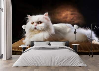 Persian cat lounging on brown velvet cushion, fluffy white coat, style luxury pet photography. 2 Wall mural