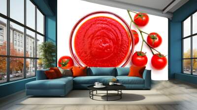 Tomato sauce on a white background seen from above Wall mural