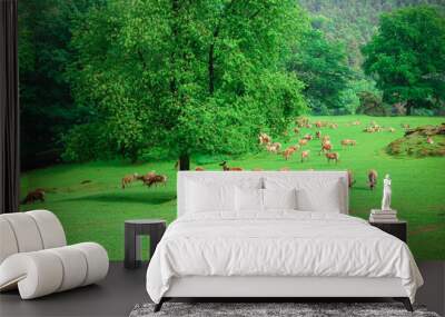 A herd of deer graze on a green lawn in a natural park Wall mural