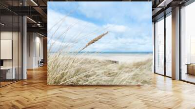 Baltic sea dunes over blue coastline background Wall mural