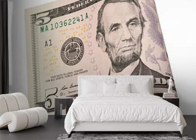 five us dollar bills Wall mural