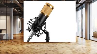 microphone isolated on a white background Wall mural