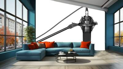 Professional microphone in a mic holder. isolated Wall mural