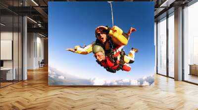 Tandem skydive Wall mural