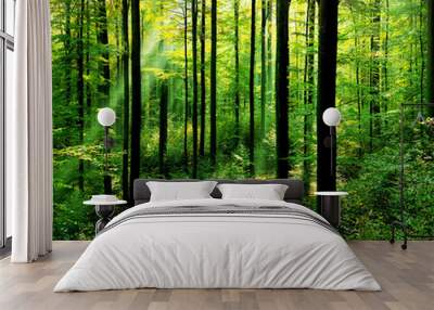 Fresh green forest with sunbeams and wooden floor Wall mural