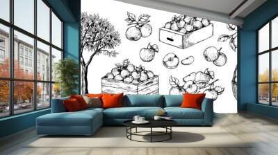 apples in basket. hand drawn engraving of garden fruits in piles. orchard sketch. plant branches. ju Wall mural