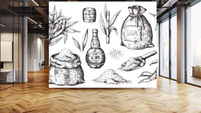 Hand drawn sugarcane and rum. Vintage liquor bottle and glasses, sugar sack and cubes, sugar organic plants. Vector illustration engraved alcoholic beverage image on white background Wall mural