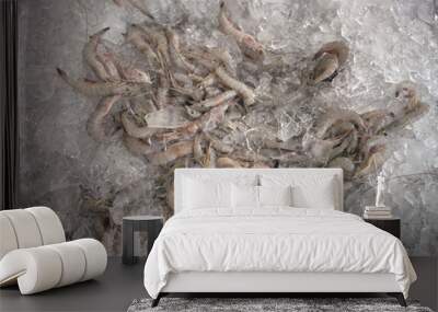 Shrimp, Dulac, Louisiana. Wall mural