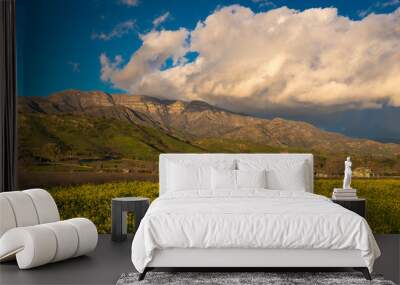 MARCH 7, 2019, MALIBU, LA, CA, USA - Mountainous landscape of Ojai with greenfields and sunset clouds above yellow Mustard and Topa Topa Mountains Wall mural